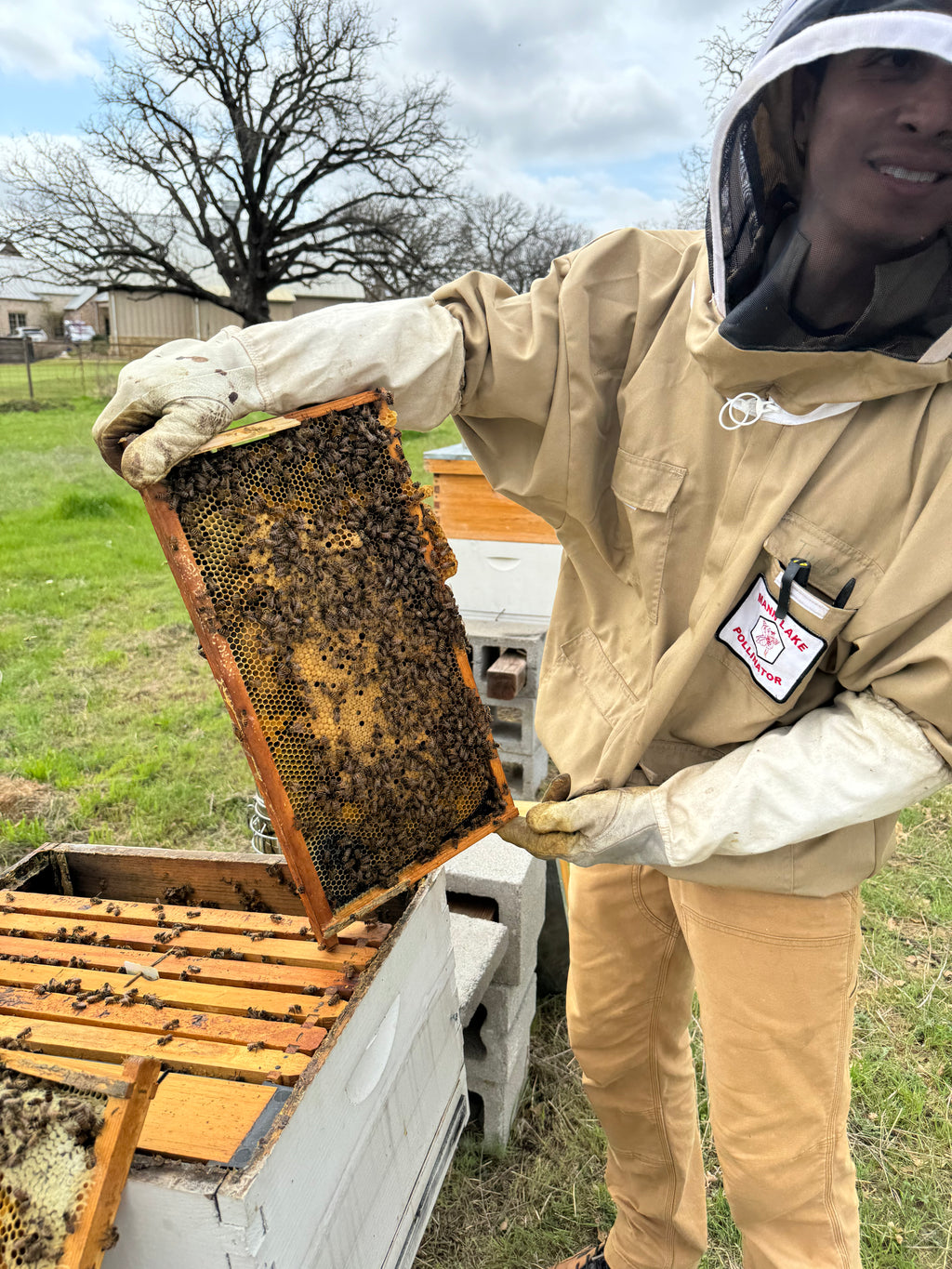 Raw Texas Wildflower Honey (1lb Squeeze Bottle)