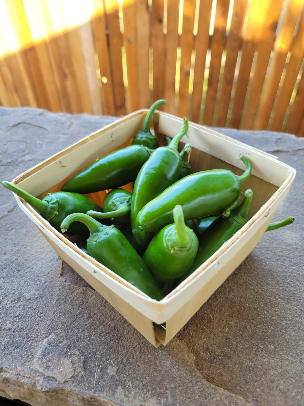 Jalapeños, Hot Peppers (pint)