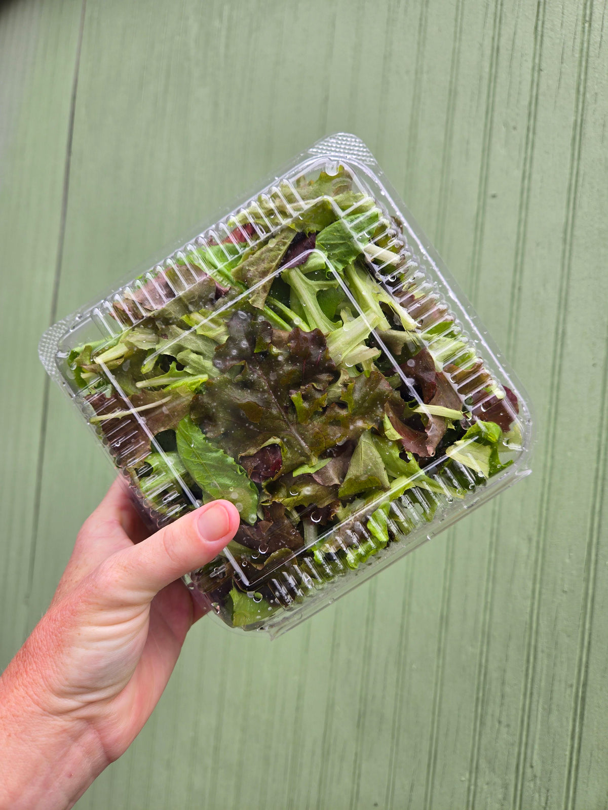 Lettuce Mix (5oz clamshell)