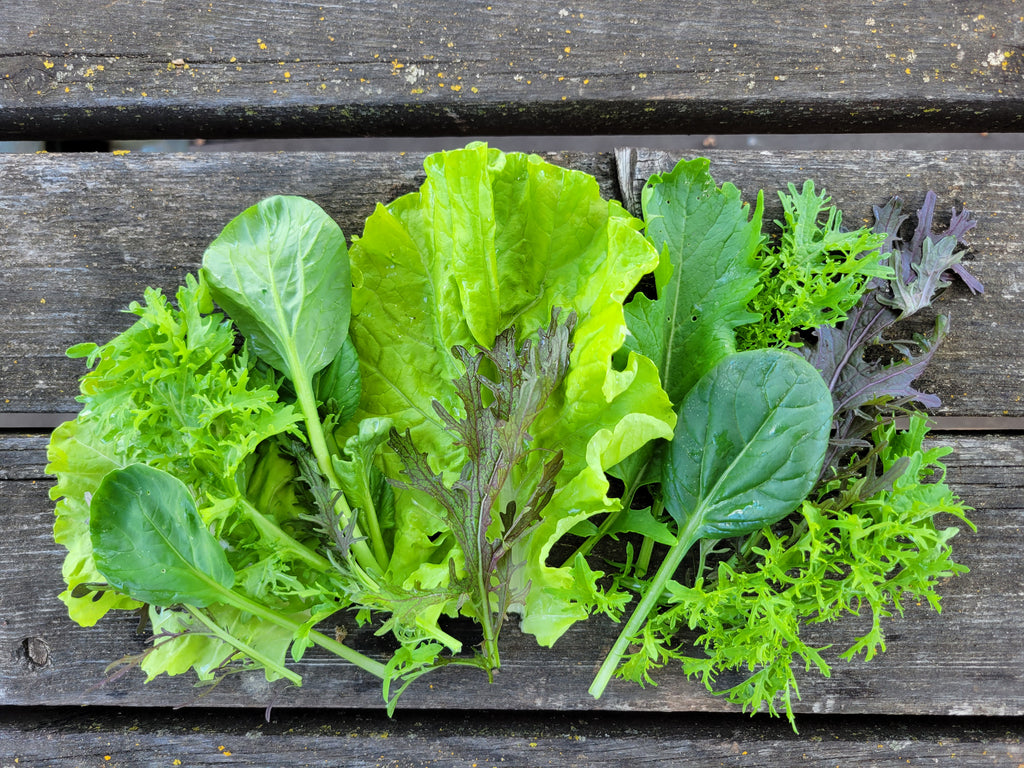 Lettuce Mix (5oz clamshell)