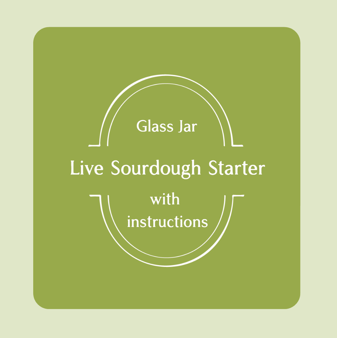 Live Sourdough Starter (glass jar)