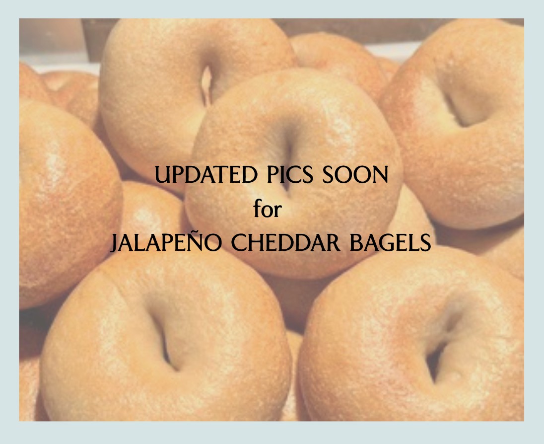 Specialty Bagels: Jalapeño Cheddar (3pk)