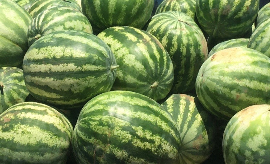 Crimson Sweet Watermelon (single, seeded)