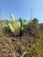 Mija Hot Sauce (5oz)